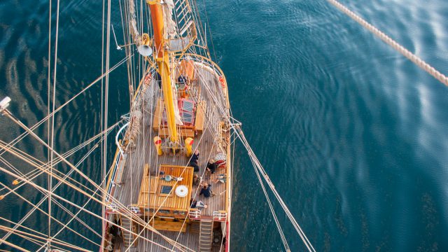 Yeah, well uh, lets keep this brain